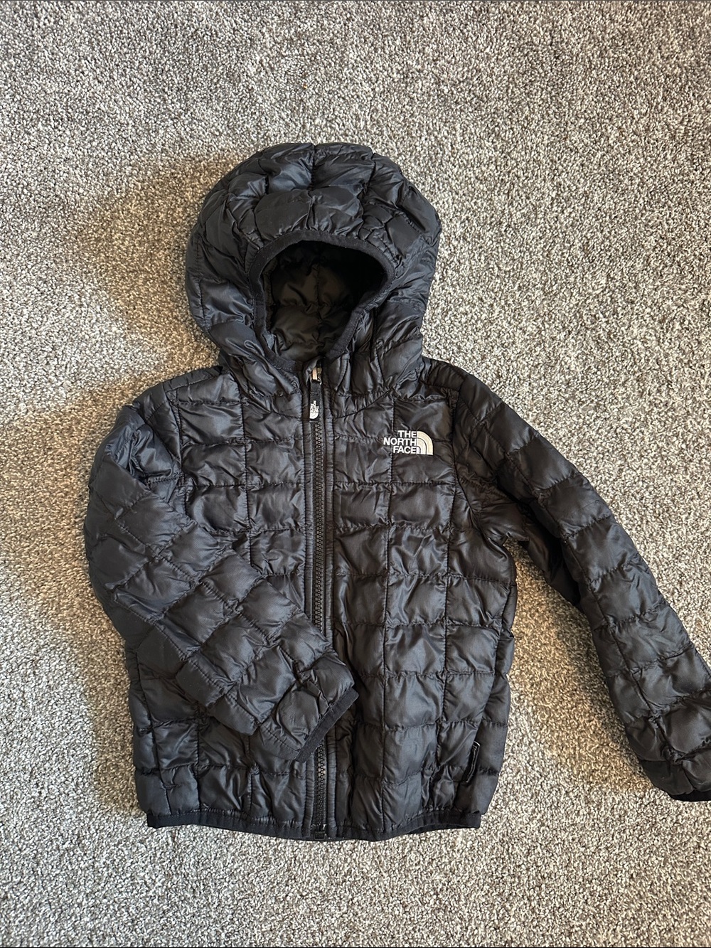 The North Face Kids Thermoball Hooded Jacket Black